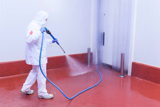 Best Patio and Deck Pressure Washing  in Westway, TX