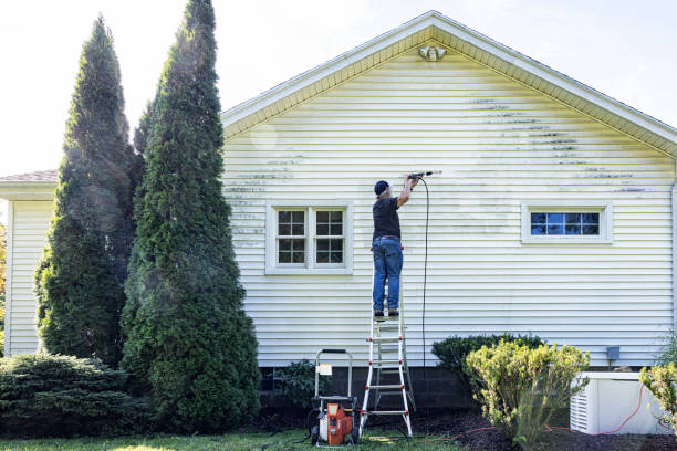 Best Building Exterior Washing  in Westway, TX